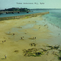 Allt - Tomas Andersson Wij