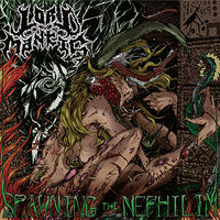 Lord Mantis - Lord Mantis