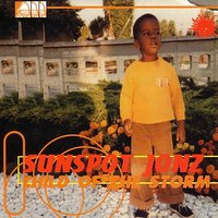 Afraid Of Change - Sunspot Jonz