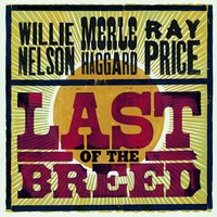 Goin' Away Party - Willie Nelson