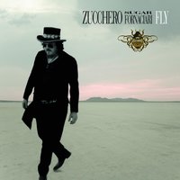 E' Delicato - Zucchero