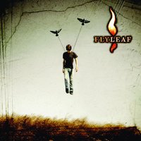 I'm Sorry - Flyleaf