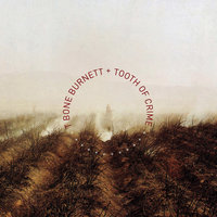 Kill Zone - T-Bone Burnett