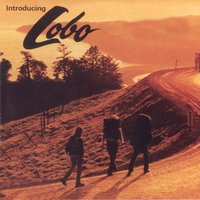 Little Joe (They're out to Get Ya) - Lobo