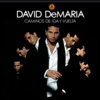 La fuerza de la voluntad - David DeMaria