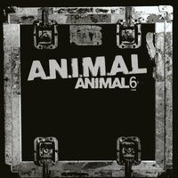 Límites - A.N.I.M.A.L.
