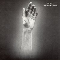 Sammy - The Afghan Whigs