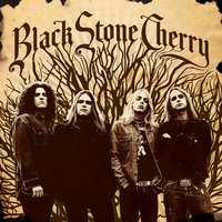 Stop Runnin' - Black Stone Cherry