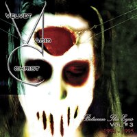 Fade Away - Velvet Acid Christ