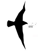 Secular Ventures - KYTE