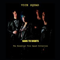 Out Of Reach - Vice Squad