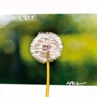 Omdat Het Anders Wordt - Bløf