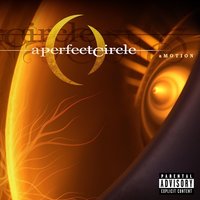 Weak And Powerless - A Perfect Circle, Wes Borland, Renholder
