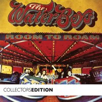 Something That Is Gone - The Waterboys