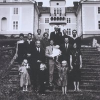 Under Suspicion - Weeping Willows