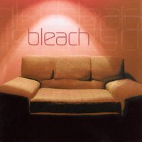 Reasons - Bleach