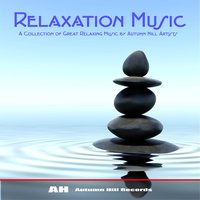 Night Sounds - Michael Silverman