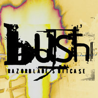 Swallowed - Bush