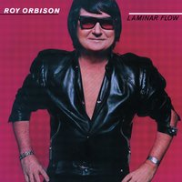 Friday Night - Roy Orbison