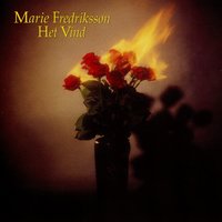 Vidare Igen - Marie Fredriksson