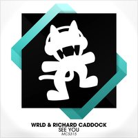 See You - Richard Caddock