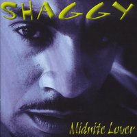 Tender Love - Shaggy