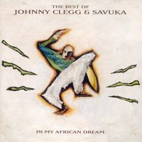 Johnny Clegg