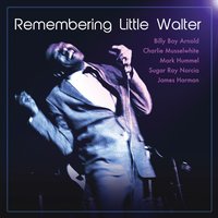 My Babe - Charlie Musselwhite, Billy Boy Arnold, Mark Hummel
