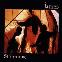 Vulture - James