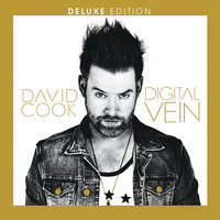 Laying Me Low - David Cook