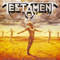 Envy Life - Testament