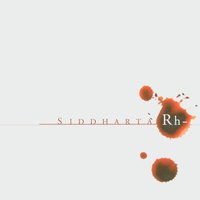 Insane - Siddharta