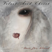 Lust - Velvet Acid Christ