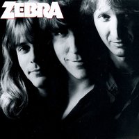 One More Chance - Zebra