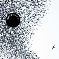 Shake It Off - Wilco