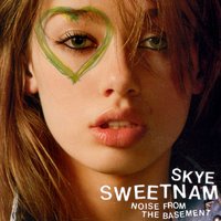 Fallen Through - Skye Sweetnam