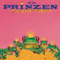 Wer ist der Typ - Die Prinzen