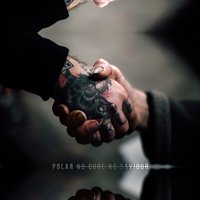 Until the Light - Polar.
