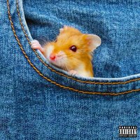 Too Busy - Supa Dupa Humble