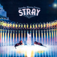 Our Song - Stray