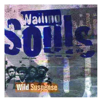 Feel The Spirit - Wailing Souls
