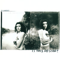 The Wind - PJ Harvey