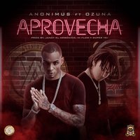 Aprovecha - Ozuna, Anonimus
