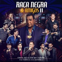 É Tarde Demais - Leonardo, Raça Negra