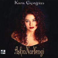 İçime Çekeyim - Aşkın Nur Yengi