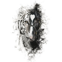 Para Sacarte De Mi Vida - Alejandro Fernandez, Los Tigres Del Norte