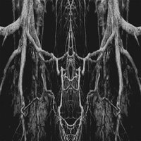 See Through - Zatokrev
