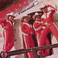 La Potranquita - Bronco
