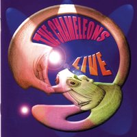 Shades - The Chameleons