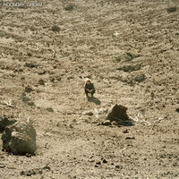 Nica Libres At Dusk - Ben Howard